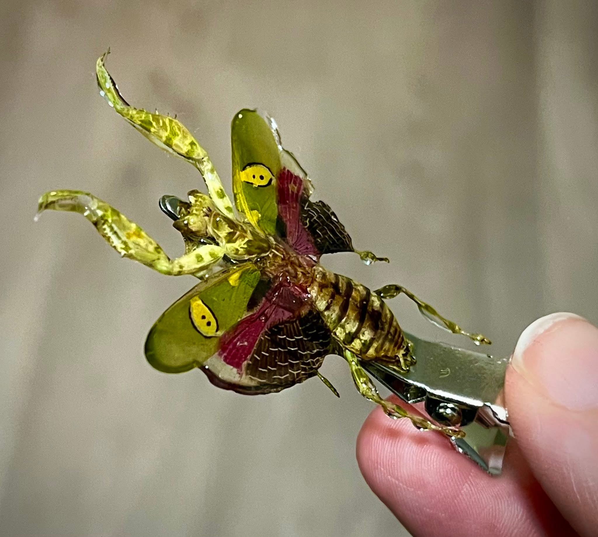 Real Jeweled Mantis Hair Clip MADE TO ORDER