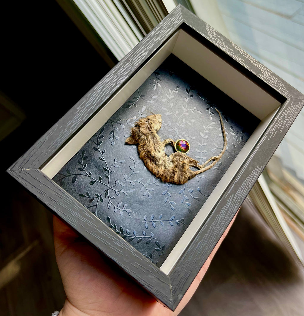 Dorito the Mummified Mouse