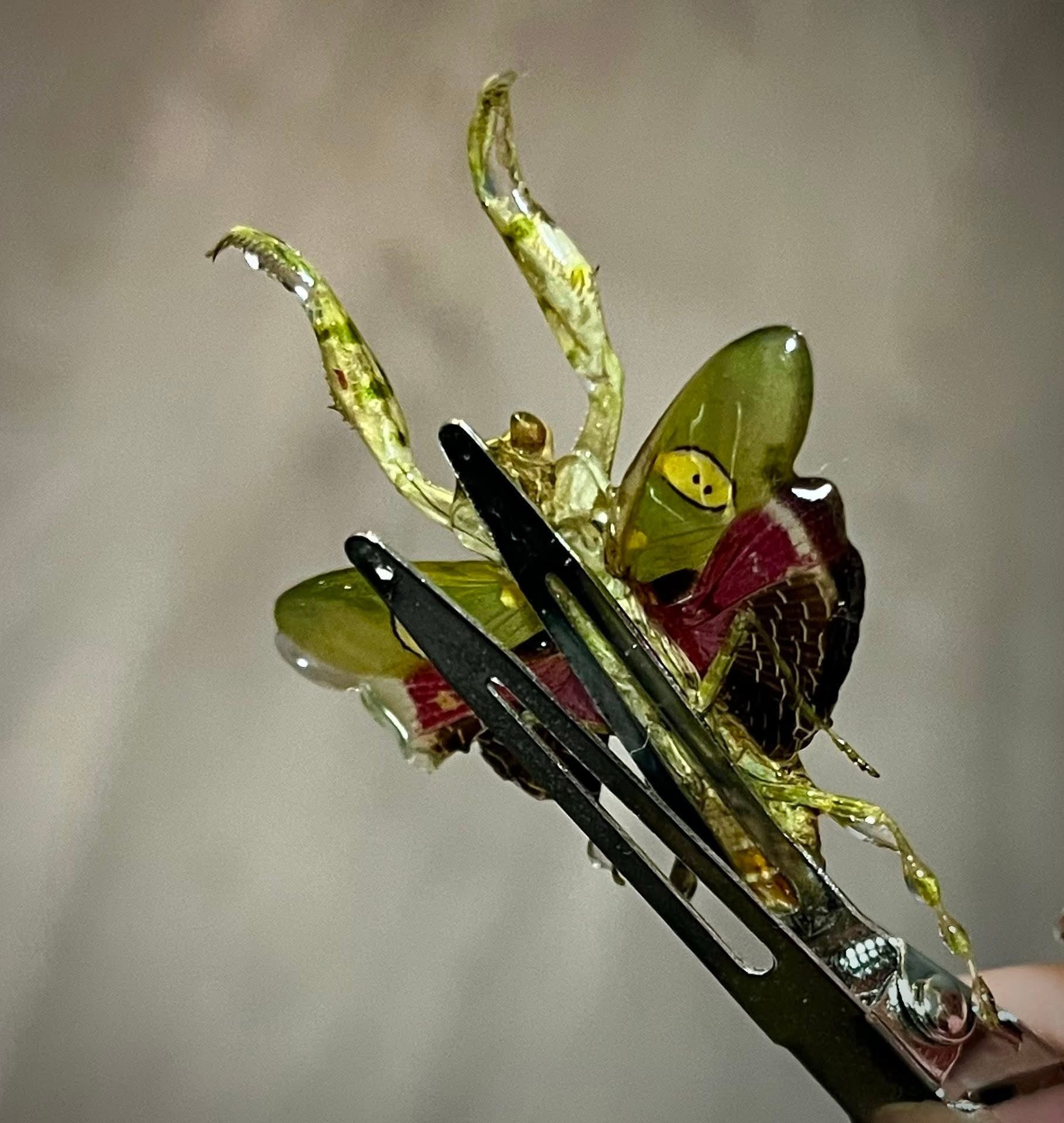 Real Jeweled Mantis Hair Clip MADE TO ORDER