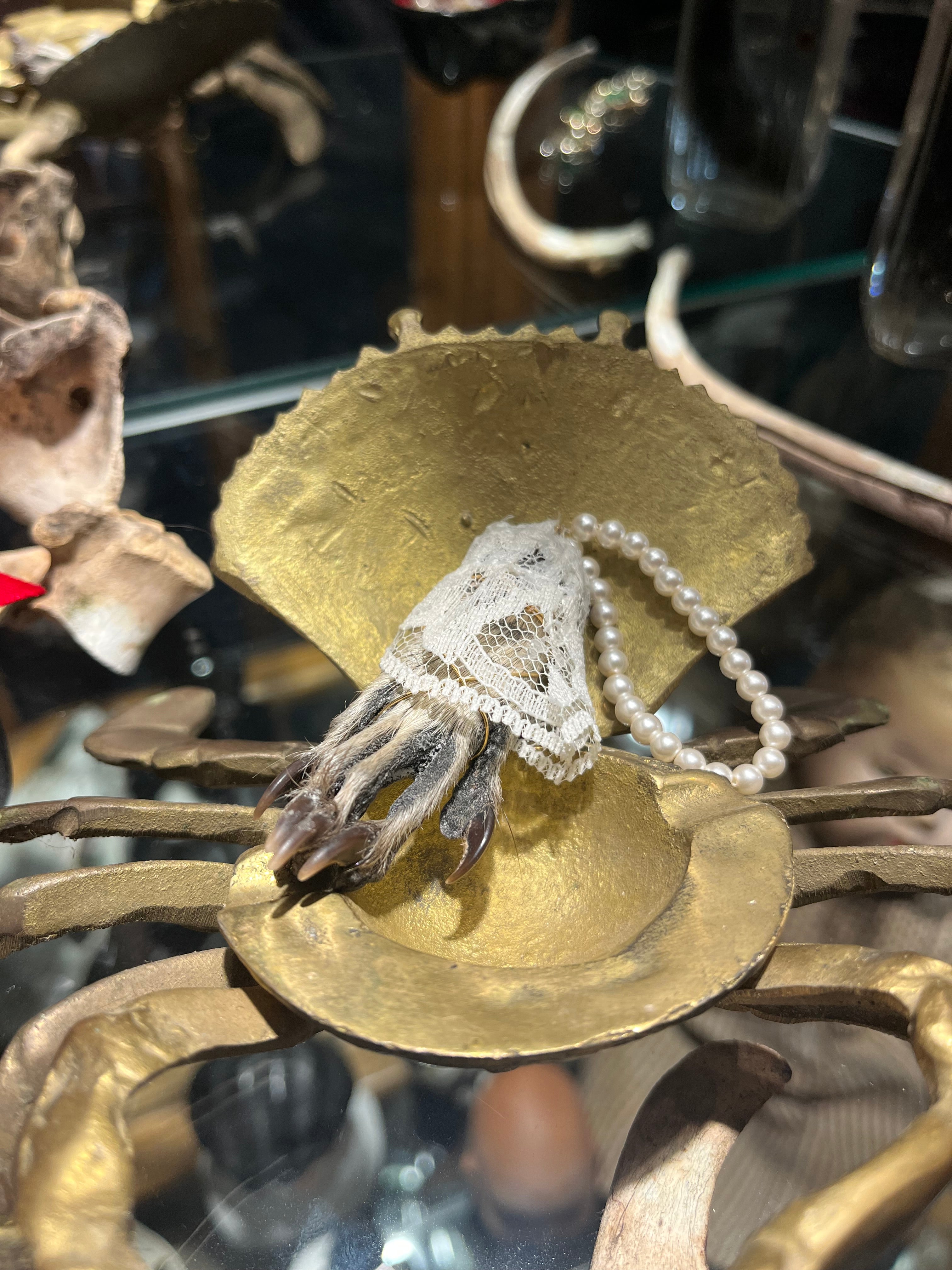 Raccoon Paw Mummified Keychain