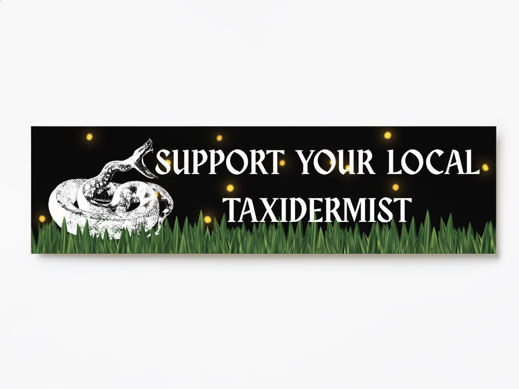 Support Your Local Taxidermist